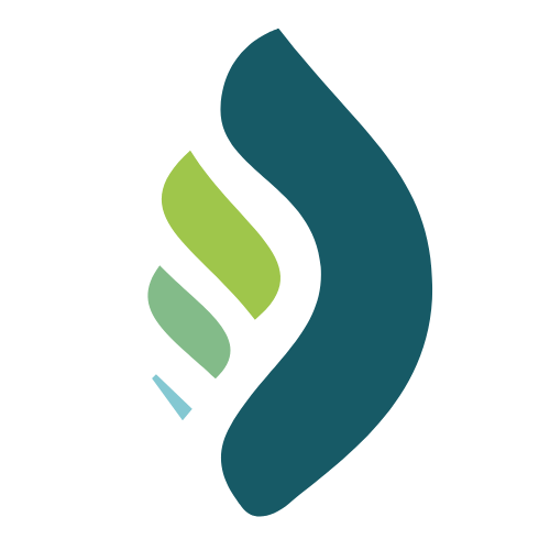 CZN Voice logo